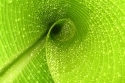 世界体能恢复公益课堂高校合作第11批项目验收结果，国际青少年体能协会(iyca)